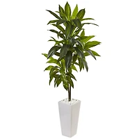 3ft. Dracaena in White Tower Planter