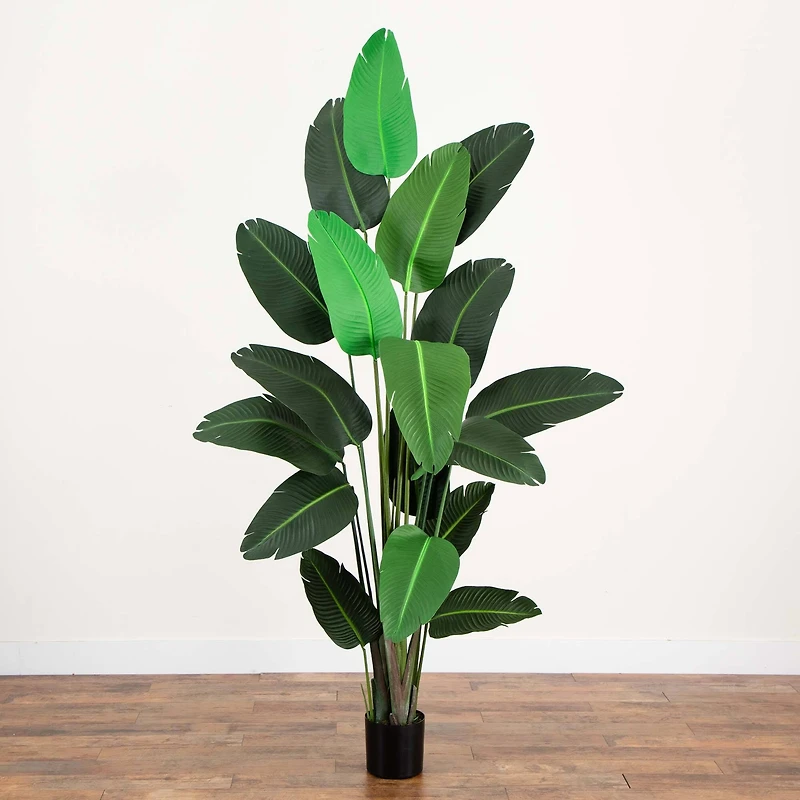 8ft. Potted Travelers Palm Tree