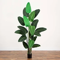 8ft. Potted Travelers Palm Tree