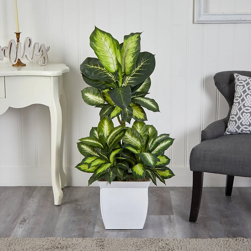 4ft. Golden Dumb Cane Plant in White Metal Planter