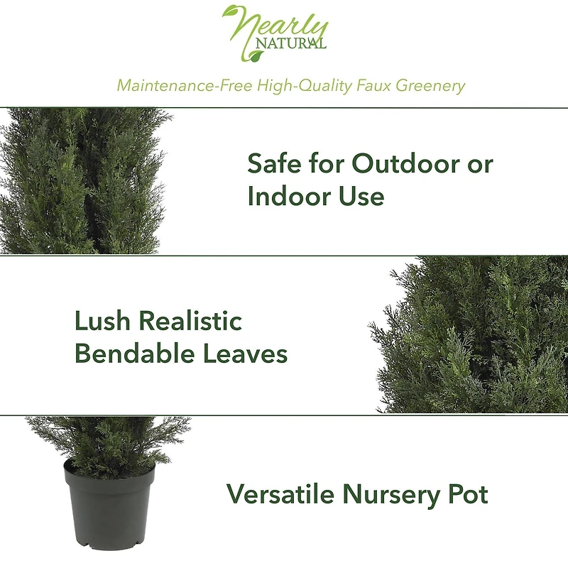 5ft. Cedar Pine Tree