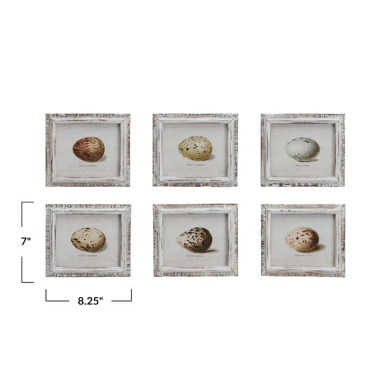 Hello Honey® 8.25" x 7" Rustic Elegance Egg Print Series Wall Décor Set