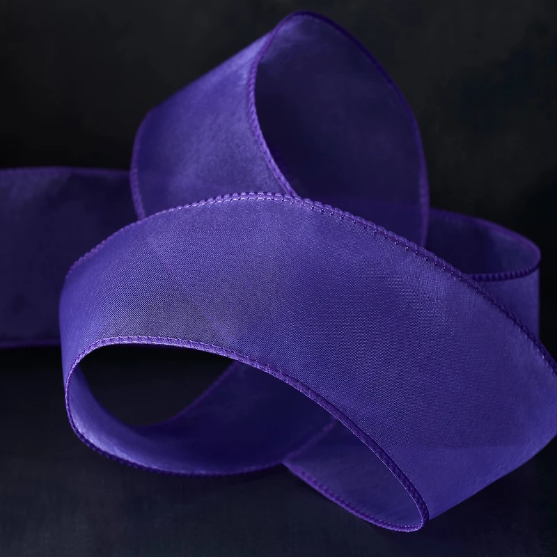 2.5" x 10yd. Sheer Wired Ribbon by Celebrate It® Specialty