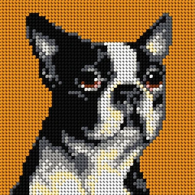 Orchidea Boston Terrier Gobelin Canvas Cross Stitch Kit