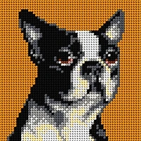 Orchidea Boston Terrier Gobelin Canvas Cross Stitch Kit
