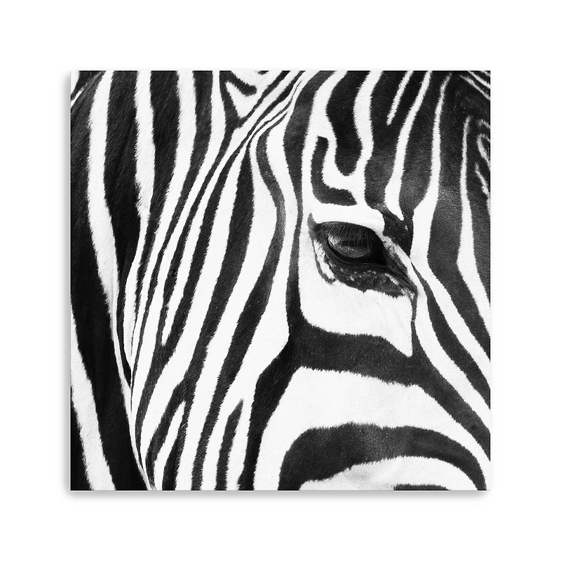 Zebra Up Close Canvas Giclee