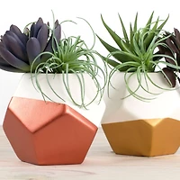 DecoArt® Extreme Sheen™ Metallic Acrylic Paint Value Pack