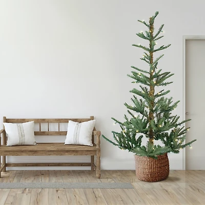 9ft. Pre-Lit Real Touch™ Nordmann Fir Slim Artificial Christmas Tree, Warm Clear LED Lights
