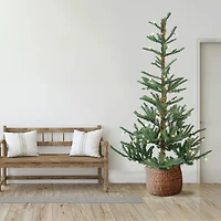 9ft. Pre-Lit Real Touch™ Nordmann Fir Slim Artificial Christmas Tree, Warm Clear LED Lights