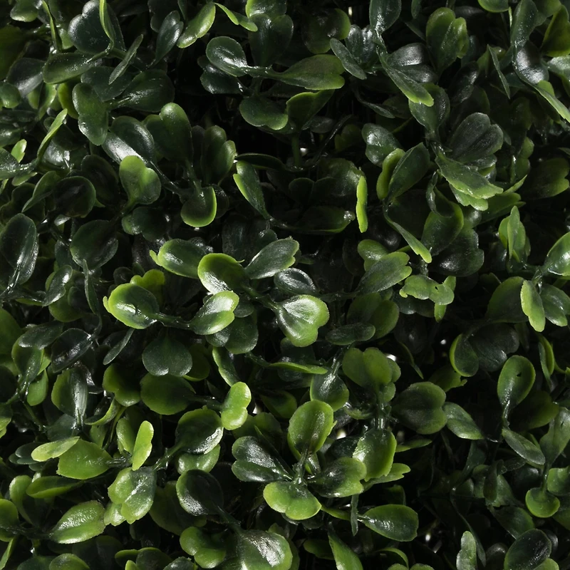 4ft. Potted Boxwood Cone