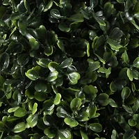 4ft. Potted Boxwood Cone