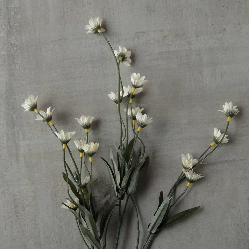 16 Pack: Cream Wild Daisy Spray by Ashland®