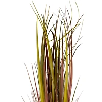 2.8ft. Red Grass Plant in Rope Pot