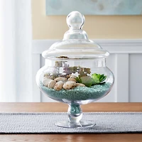 Ashland® Glass Apothecary Jar, 13.5"