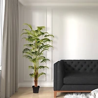 6ft. Potted Fern Palm with Real Touch Leaves