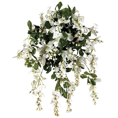 White & Green Wisteria Hanging Bush