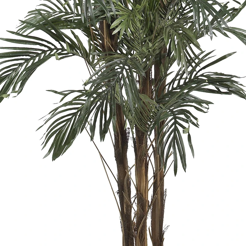 5ft. Potted Robellini Palm Tree
