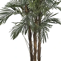 5ft. Potted Robellini Palm Tree