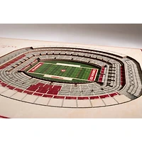 NCAA 5-Layer StadiumView Wall Art