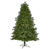 7ft. Pre-Lit Nova Scotia Fir Real Touch Artificial Christmas Tree, Warm White LED Lights
