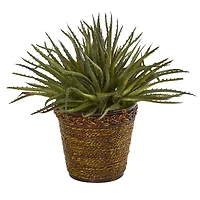 13" Aloe Artificial Plant in Basket