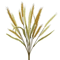 18" Wheat Bush by Ashland