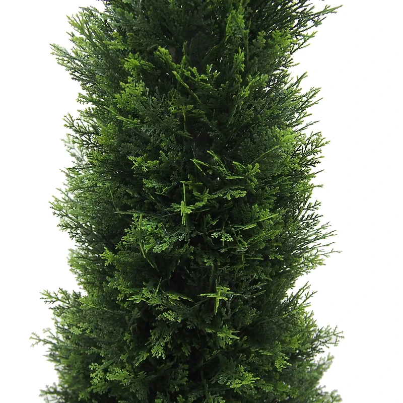 4ft. Potted Green Cedar Tree