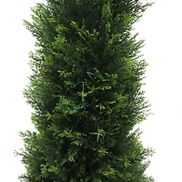 4ft. Potted Green Cedar Tree