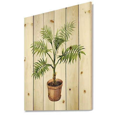 Designart - Palm In Clay Flowerpot