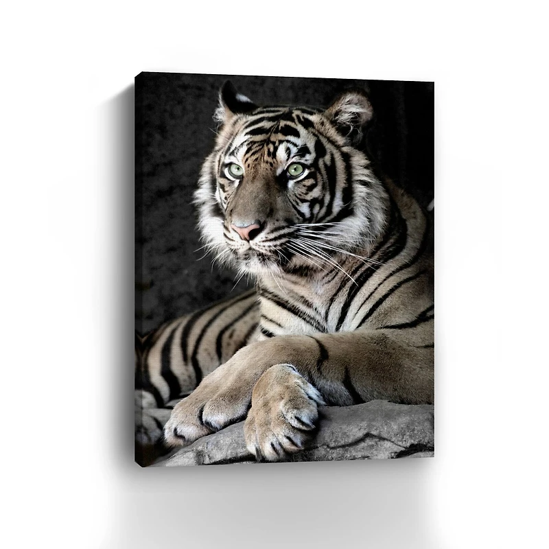 Sumatran Tiger Canvas Giclee