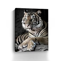 Sumatran Tiger Canvas Giclee