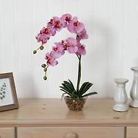 18" Moth Orchid Arrangement in Glass Vase
