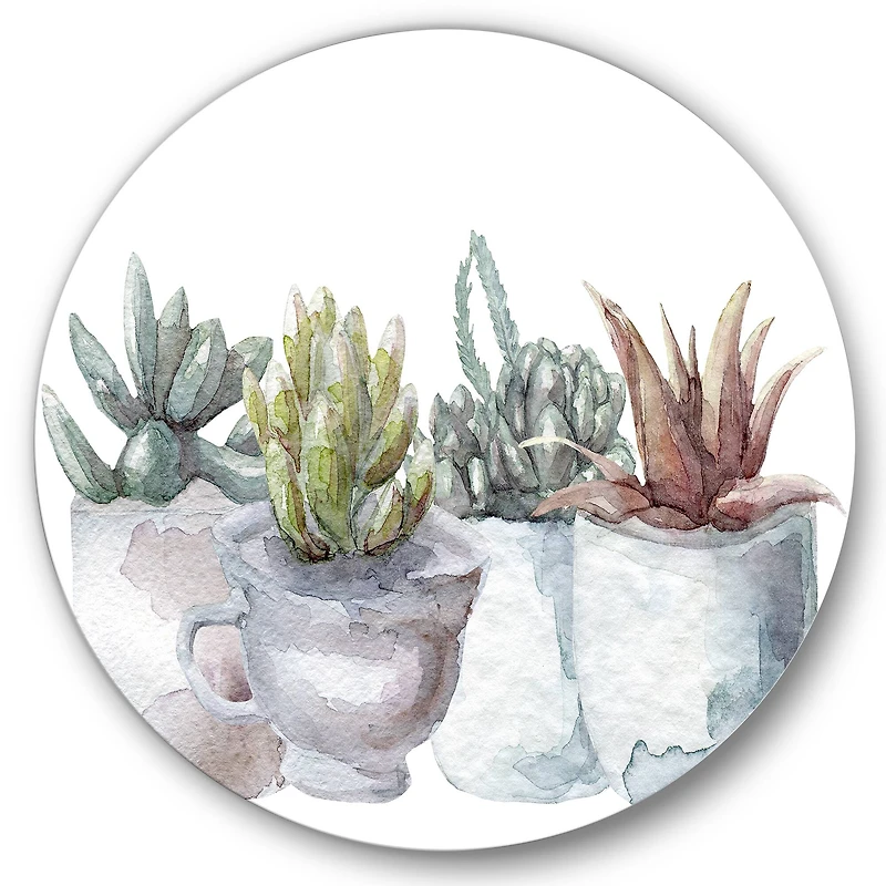 Designart - Cactus and Succulent House Plants IV