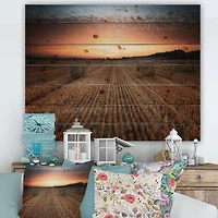 Designart - Landscape With A Field Full of Hay Bales At Sunset - Farmhouse Print on Natural Pine Wood