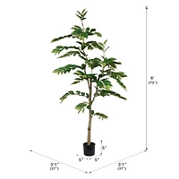 6ft. Potted Green Nandina Tree