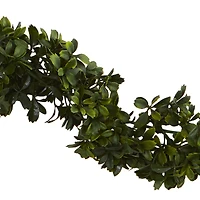 6ft. Boxwood Garland, 4ct.