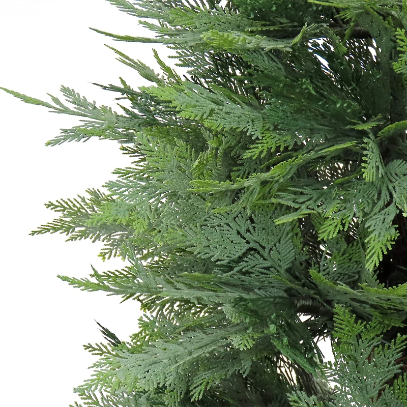 5ft. Cypress Tree In Nursery Pot