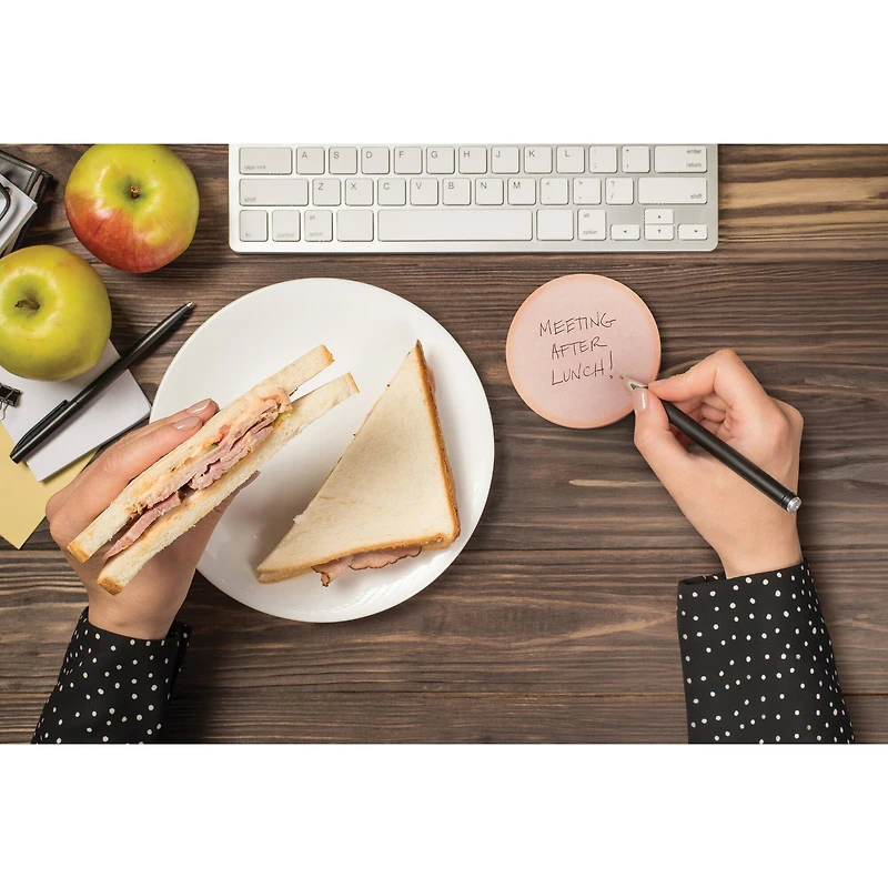 Fred® Phony Bologna Sticky Notes