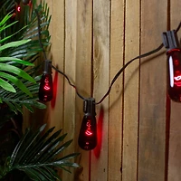 10ct. Purple Edison E17 Halloween Light Set