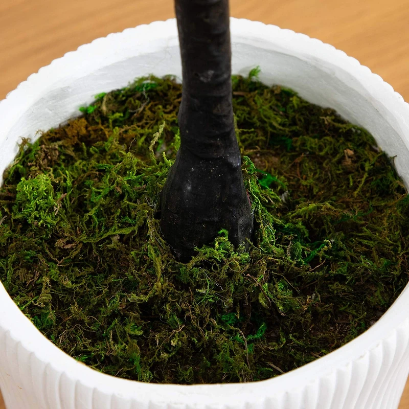 6ft. Bougainvillea Tree with White Decorative Planter