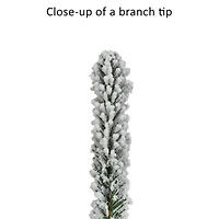 7.5ft. Pre-Lit Flocked Franklin Fir Artificial Christmas Tree, Clear Lights