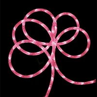 24ft. Pink Commercial Grade LED Outdoor Christmas Rope Lights