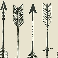 PKL Studio Arrows on Cotton Home Décor Fabric