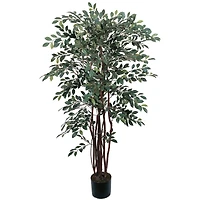 4ft. Potted Ruscus Tree