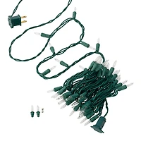 50ct. Creative Collection™ Shimmer Lights Green Vine by Ashland™