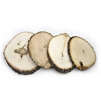 Wilson® Enterprises Large/X-Large Basswood Plaques, 15ct.