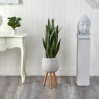 46" Sansevieria Plant in White Planter with Stand
