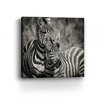 Zebra Pair Canvas Giclee