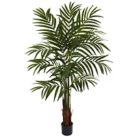 5ft. Potted Green Big Palm Tree