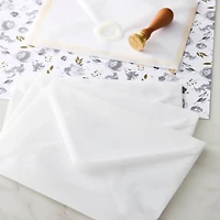 12 Packs: 50 ct. (600 total) 5.25" x 7.25" White Vellum Envelopes by Recollections™